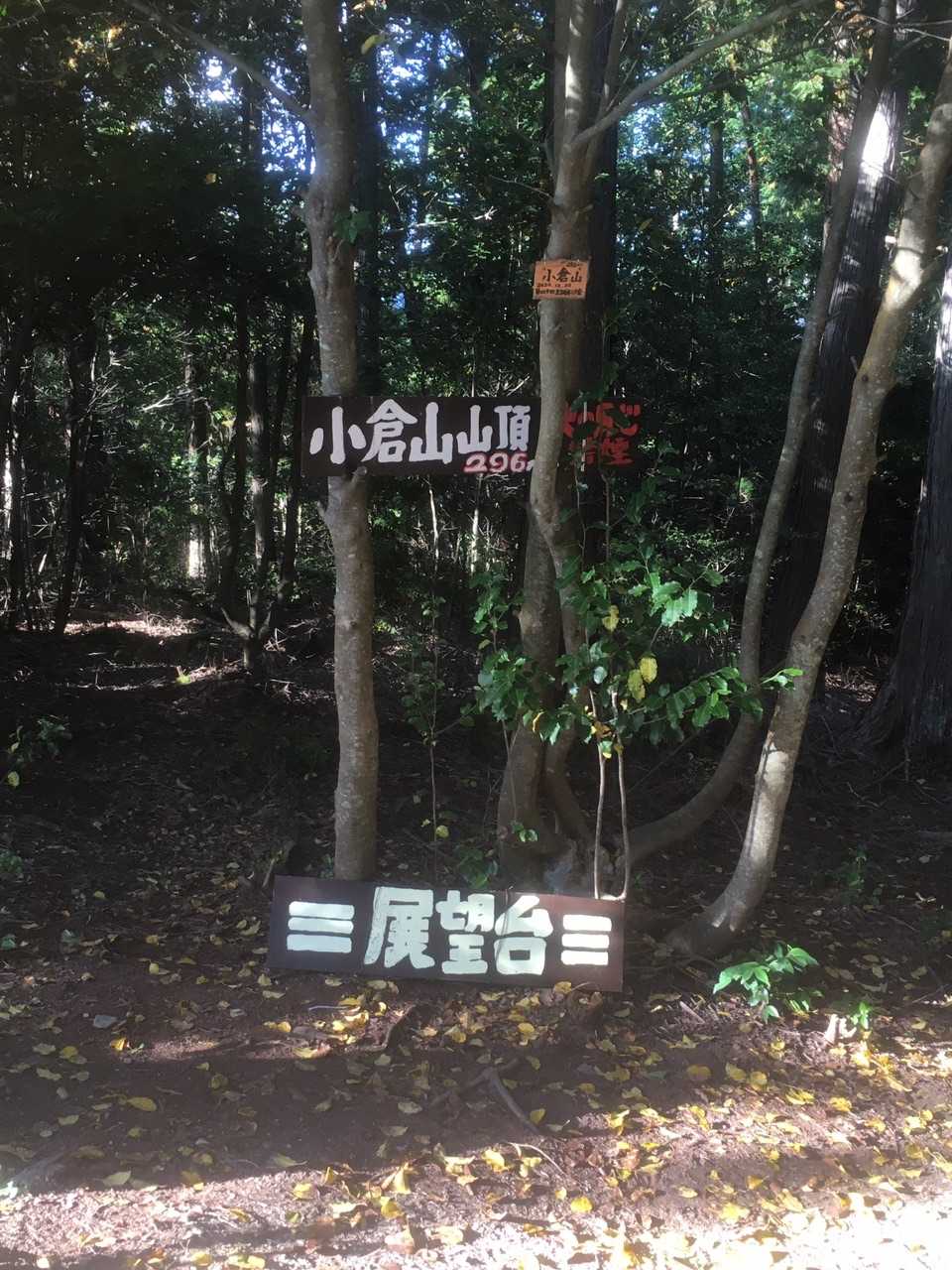 小倉山🚩は遊歩道から少し外れた所😎
