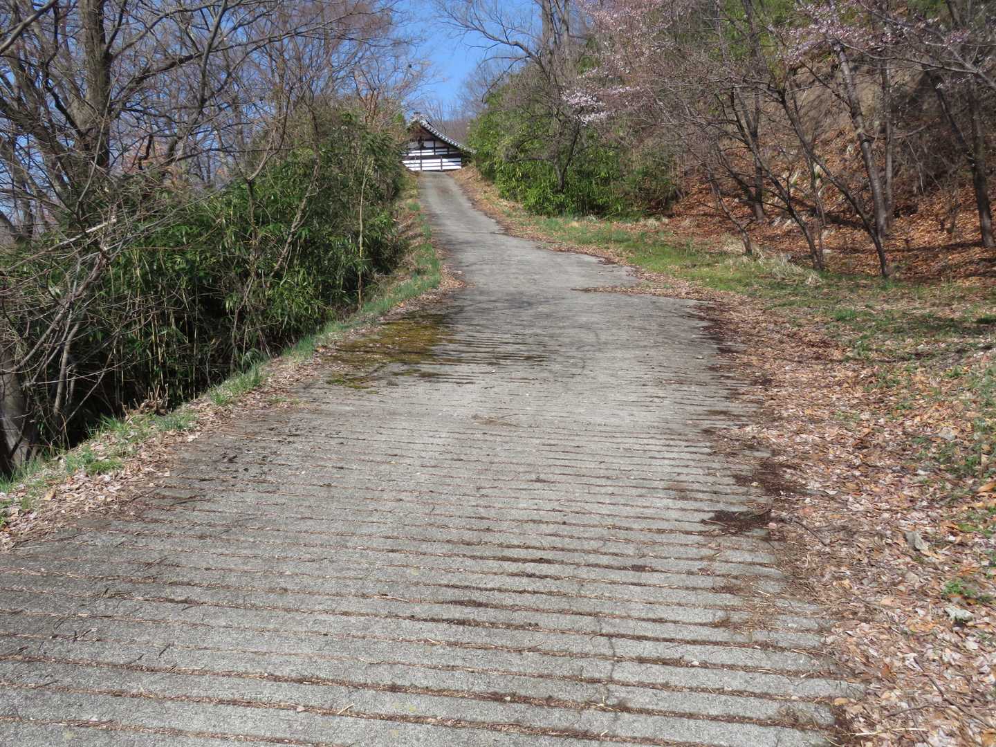 座摩神社が見えて来ます（軌跡が変ですが道なりに登って来ました）