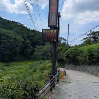 29℃　地上より大分楽です