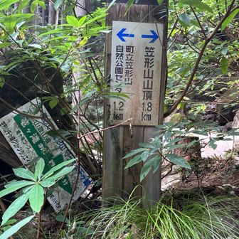 笠形山山頂まで1.8km。