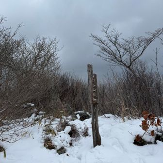 伊良谷山山頂
風もほとんどなく、ここで昼食🍙🍙