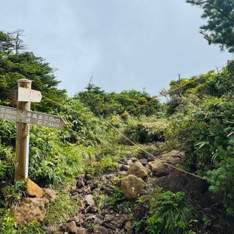 烏帽子岳への分岐
通行止