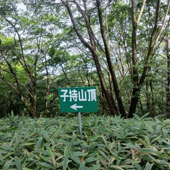 往路、子持山からドコモ子持無線中継所へ。
分岐。