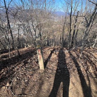 急傾斜地？と書いてあるのかな。いくつか立ってました。そして急です。