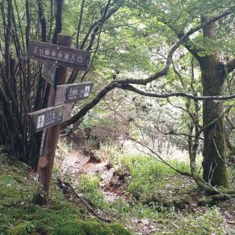 上り御幸歩道で戻ります