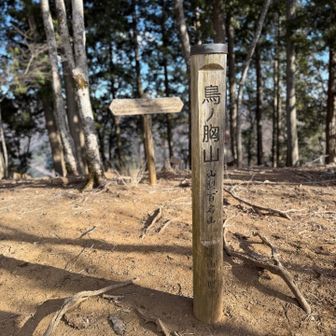 無事に左乳に到着

サラダチキン頂いて、食べてました🐓
