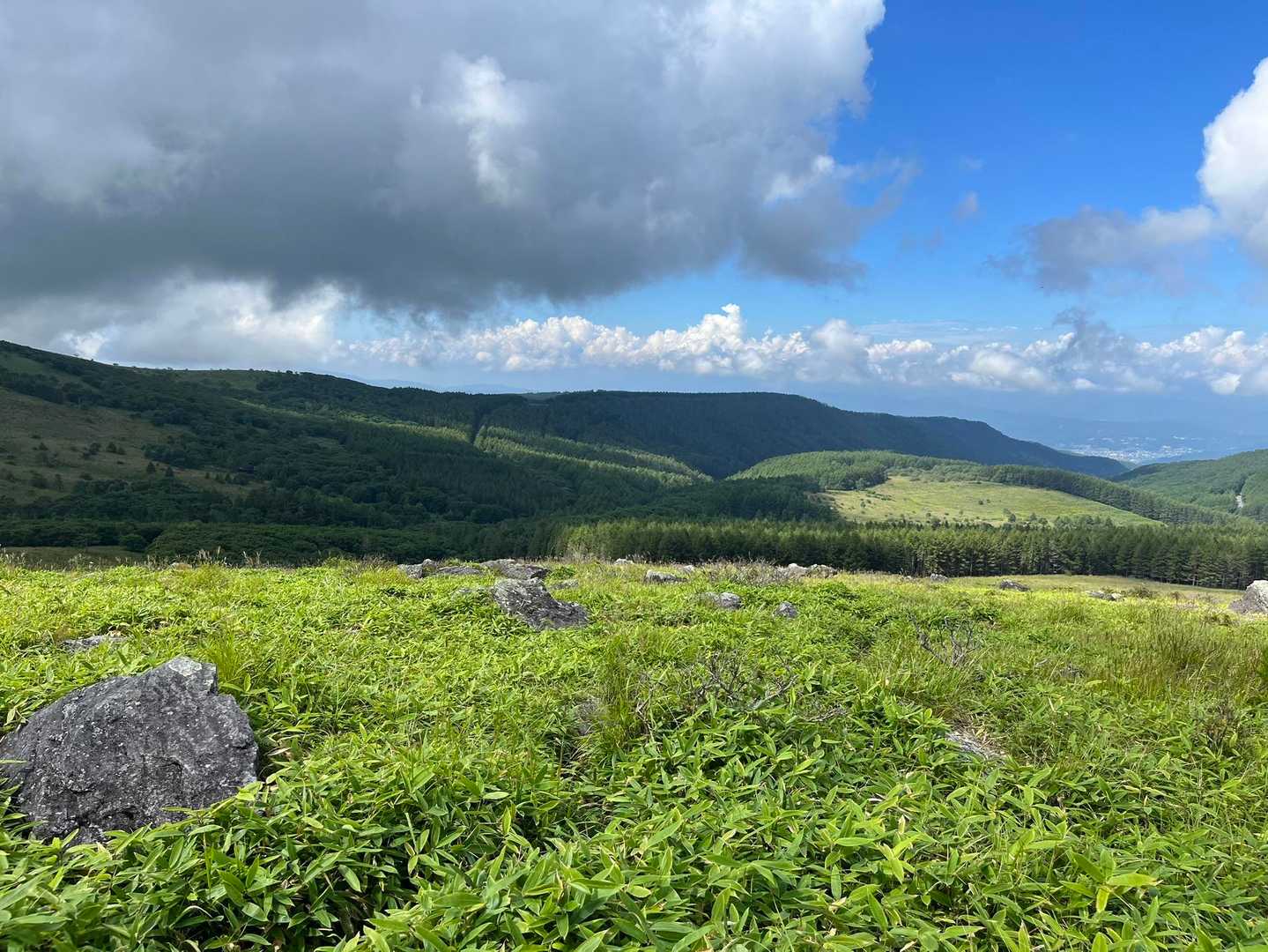 蝶々深山 周回コースの写真