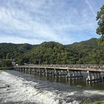 おっ、いきなり渡月橋。これはもう嵐山よ👏