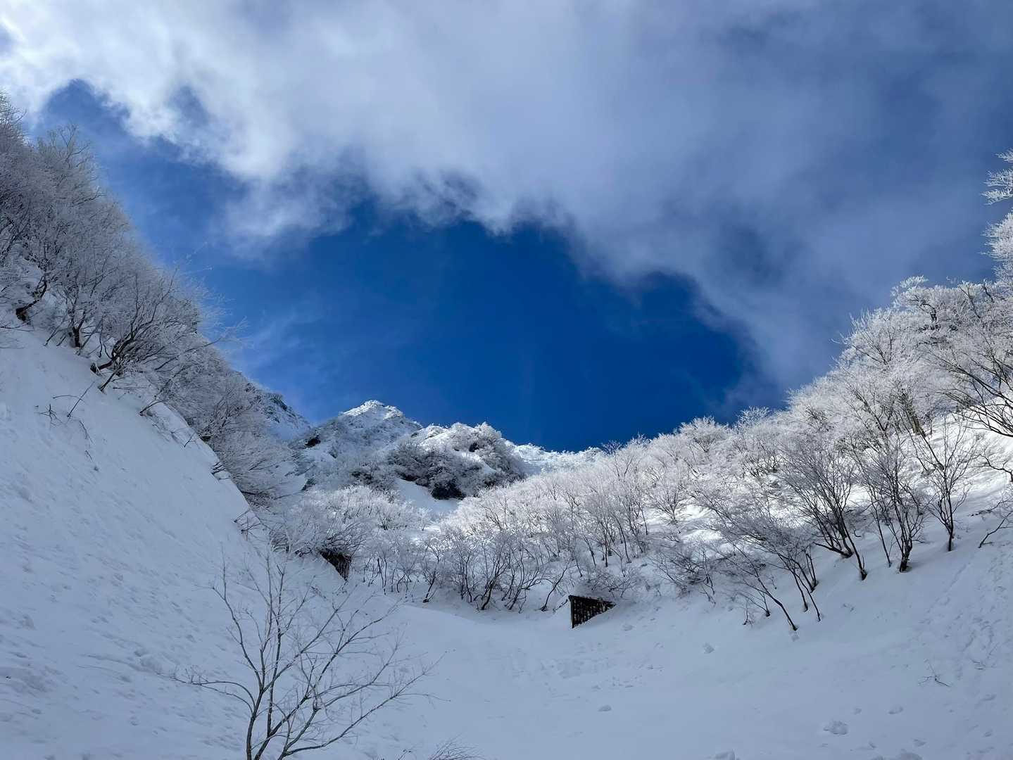大山 バリエーションルート7合尾根 / まめっちの登山データ | YAMAP 