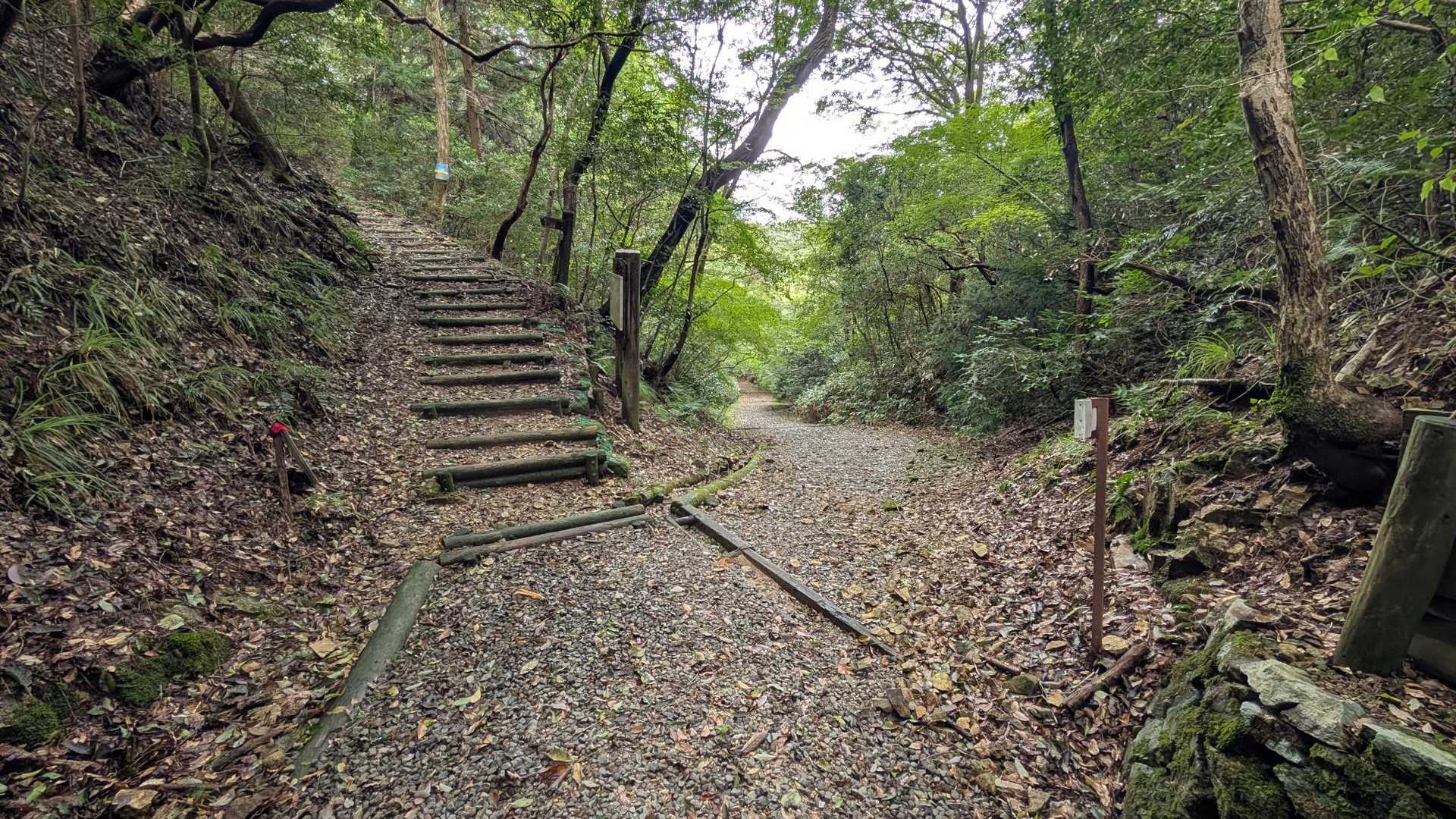 左、ショウゲン山・東鳳翩山 へ。