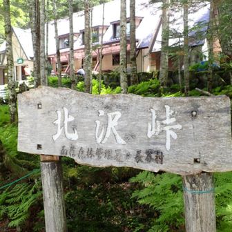 北沢峠に到着
おつかれさまでした
あとは🚌に揺られて下界へ🙂

魔笛さん2日間のらさんのボランティアありがとうございました🙇‍♂️