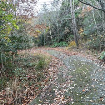 1台通れるかなって幅
公道からそれほど距離はない