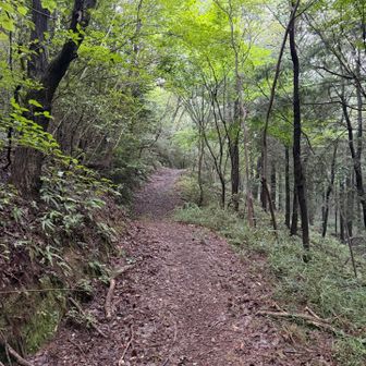 今日は 百々ヶ峰周辺の11座を廻ります😁
車で30分くらいで来れるんですが、百々ヶ峰はまだ2回目 😅