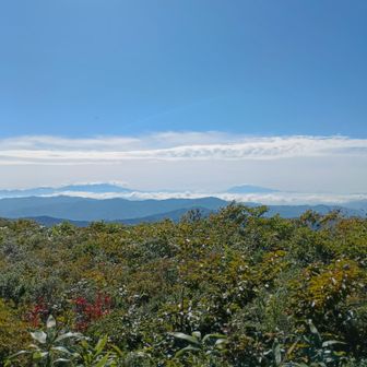 北アルプスの山並みもきれい