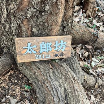 ３つ目のピークへ   夫氏の名前が太郎なので親近感🤭