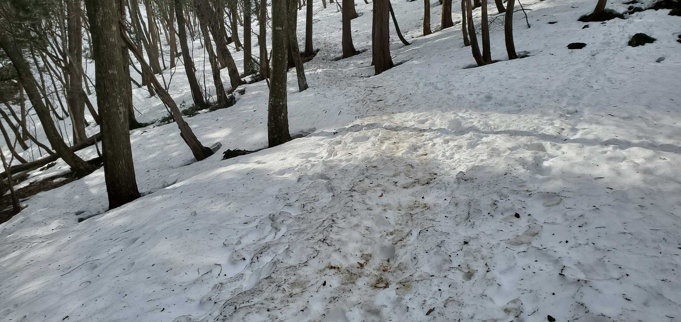 三方山-小倉山 往復コースの写真