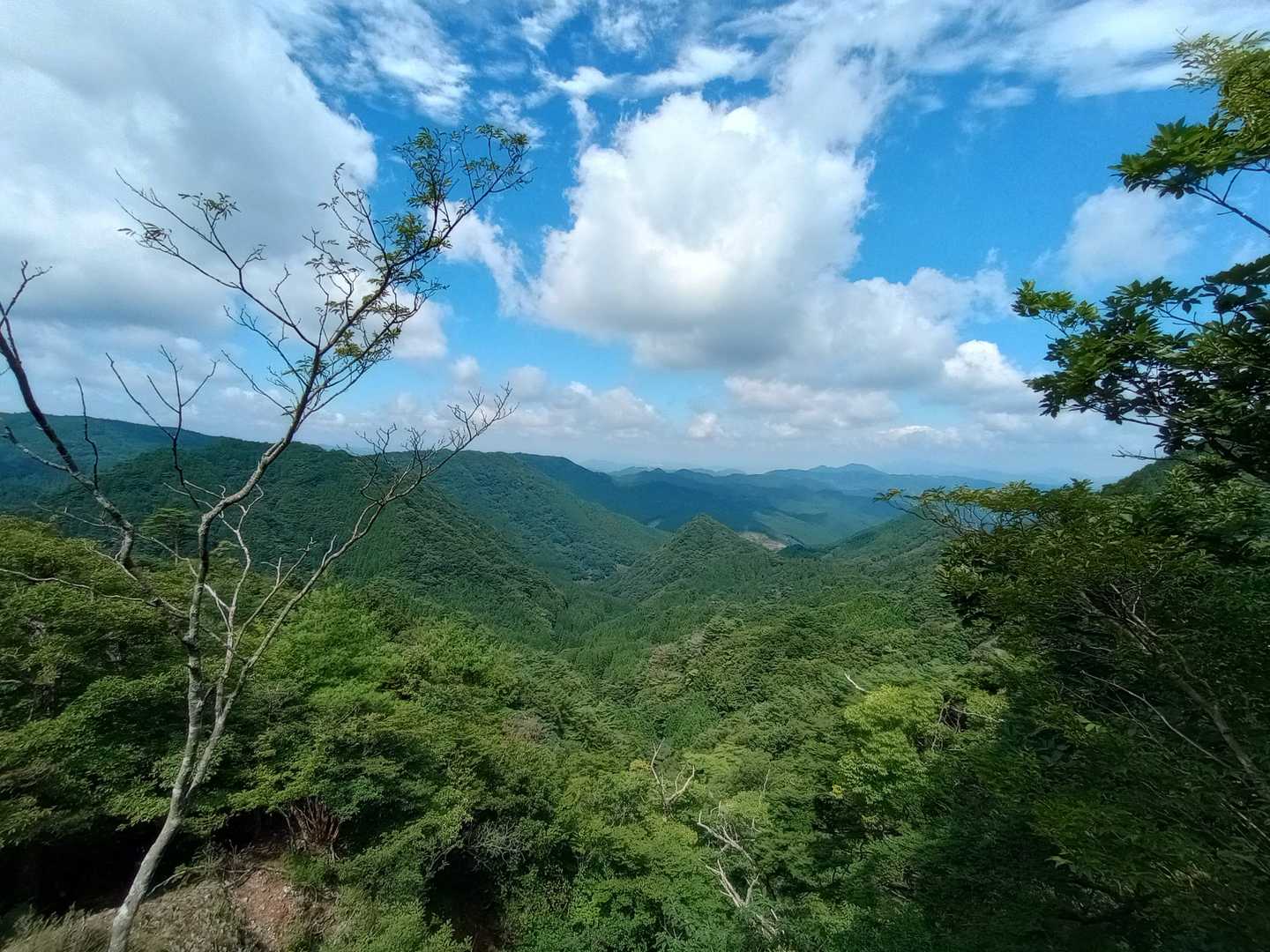 平尾台方面への眺望