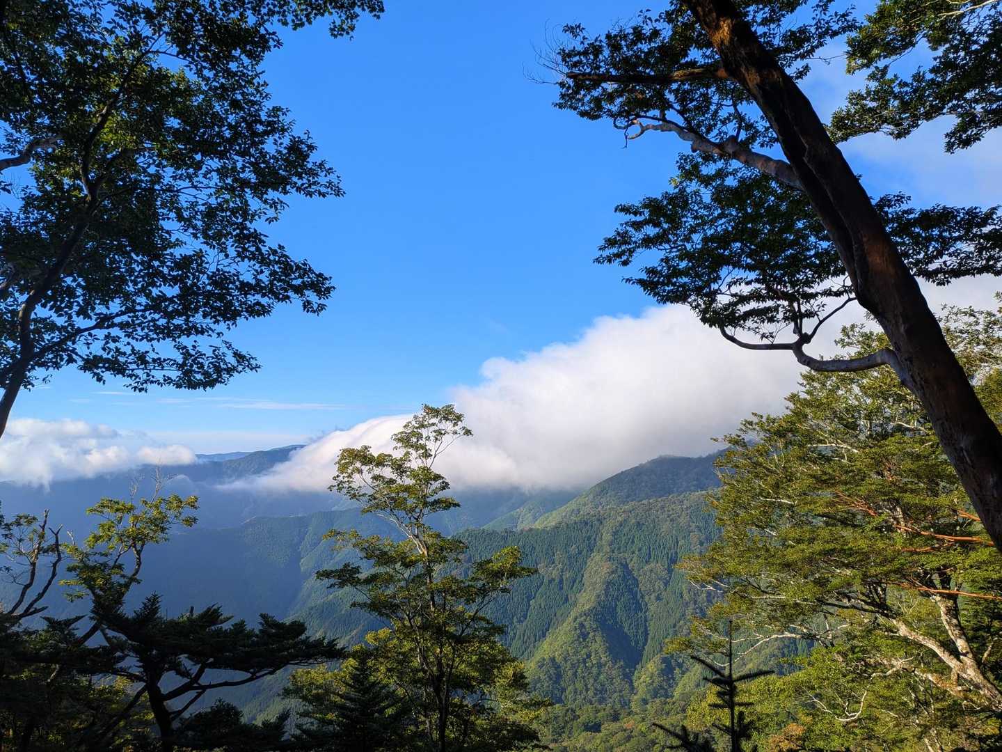 
日に日に足の状態は悪くなっている

いつか山に登れなってしまうのが、怖いんだ。

