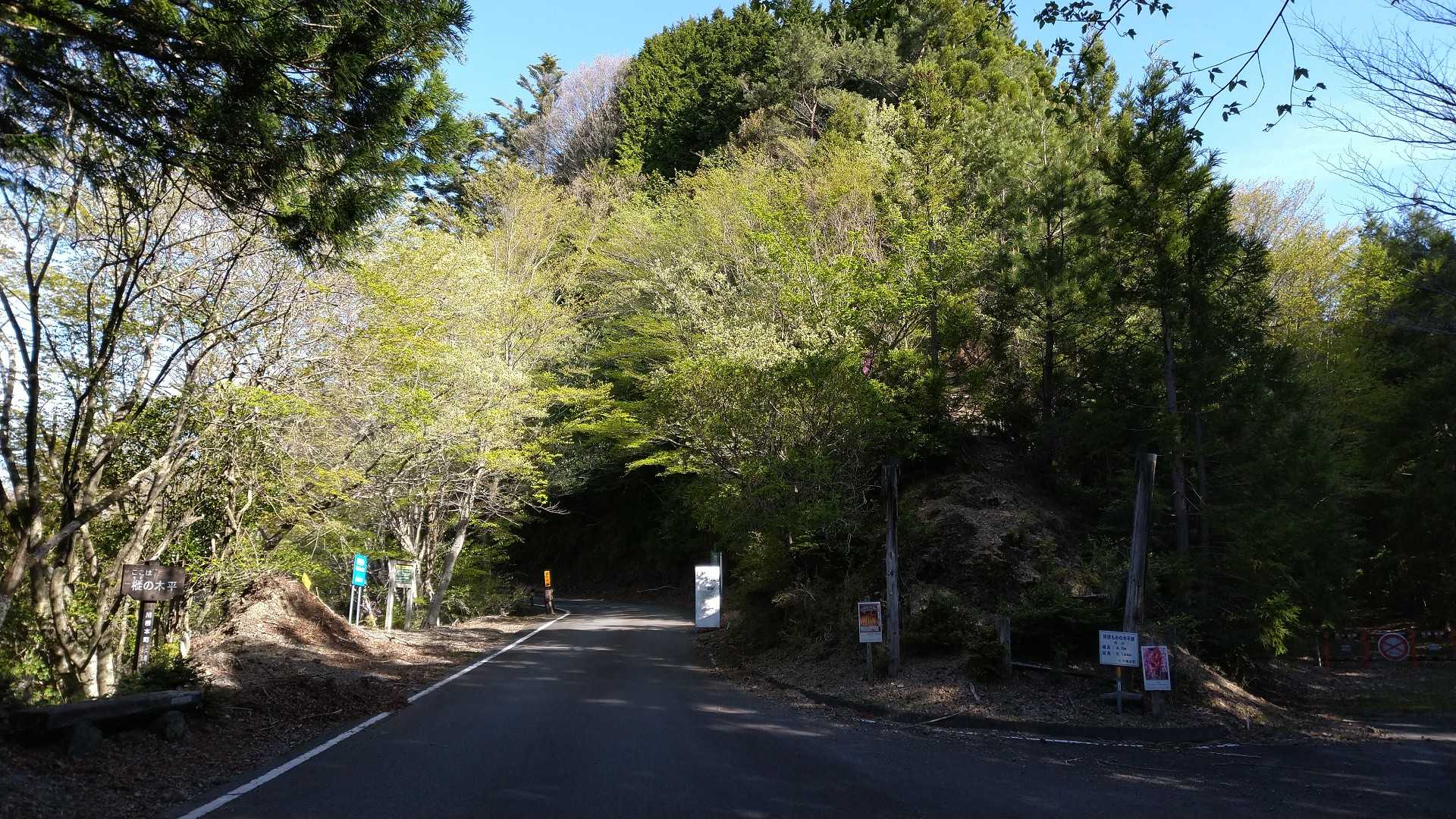 ここから登山道