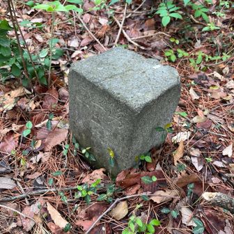 三角点ではありませんよ。境界か何か。この辺に御陵林があったのでしょうか。