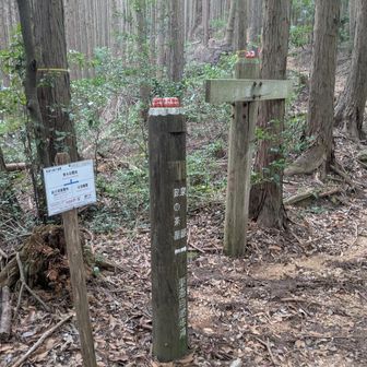 勝尾寺方面へ下ります。