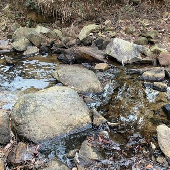 仏平山南口の沢。