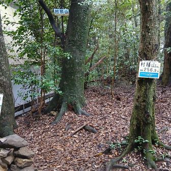 三角点のすぐ裏側にお社がある。さて、展望台まで行ってみますか。