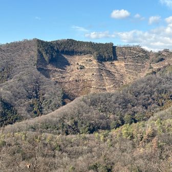 木が生えてないとこが…自分には人の顔に見えます😀
こんにちは😊⚔️
ご機嫌そうで何よりです😇👍