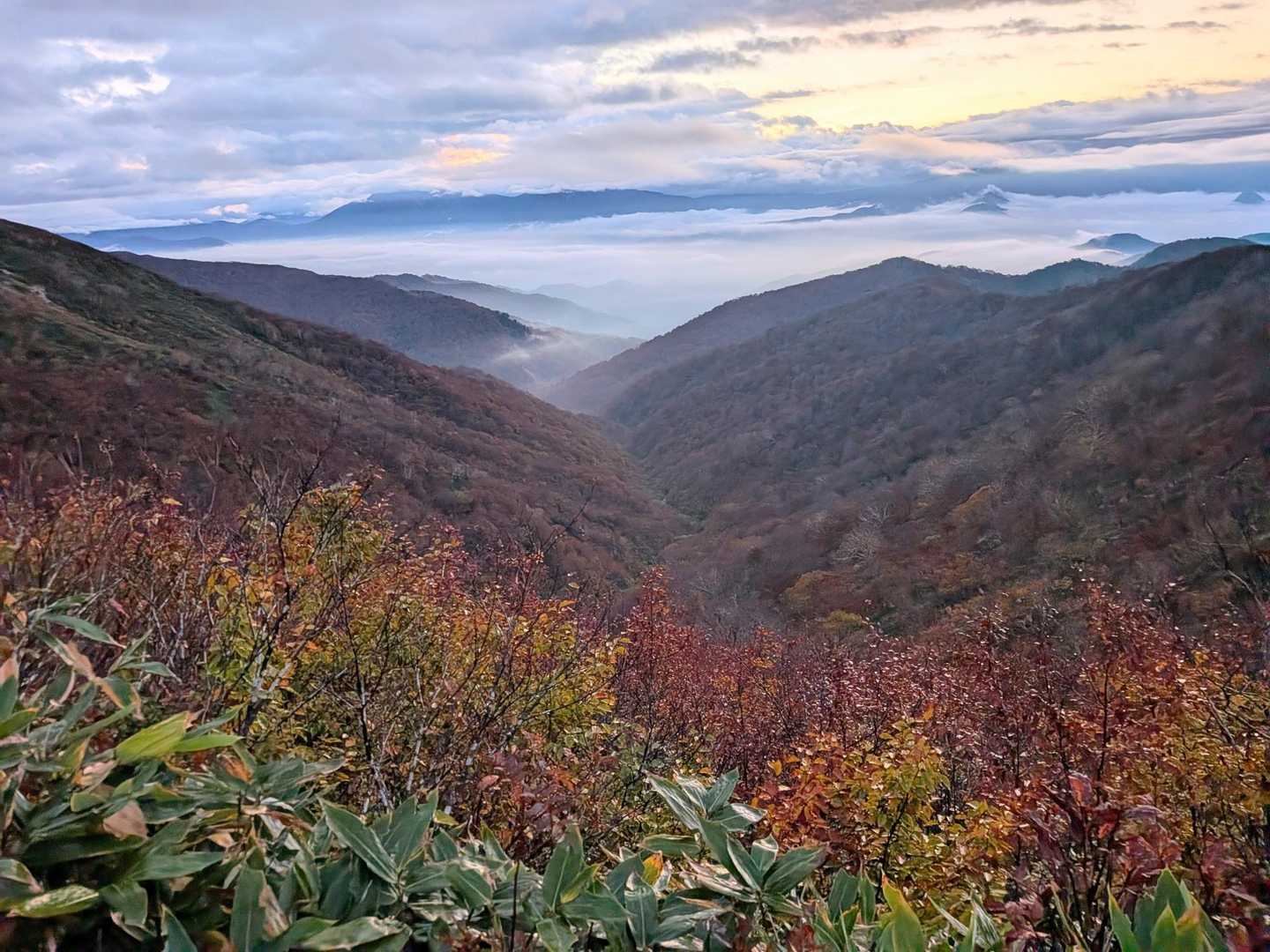 白毛門登山口-松ノ木沢ノ頭-白毛門-笠ヶ岳-大烏帽子-朝日 周回コースの写真