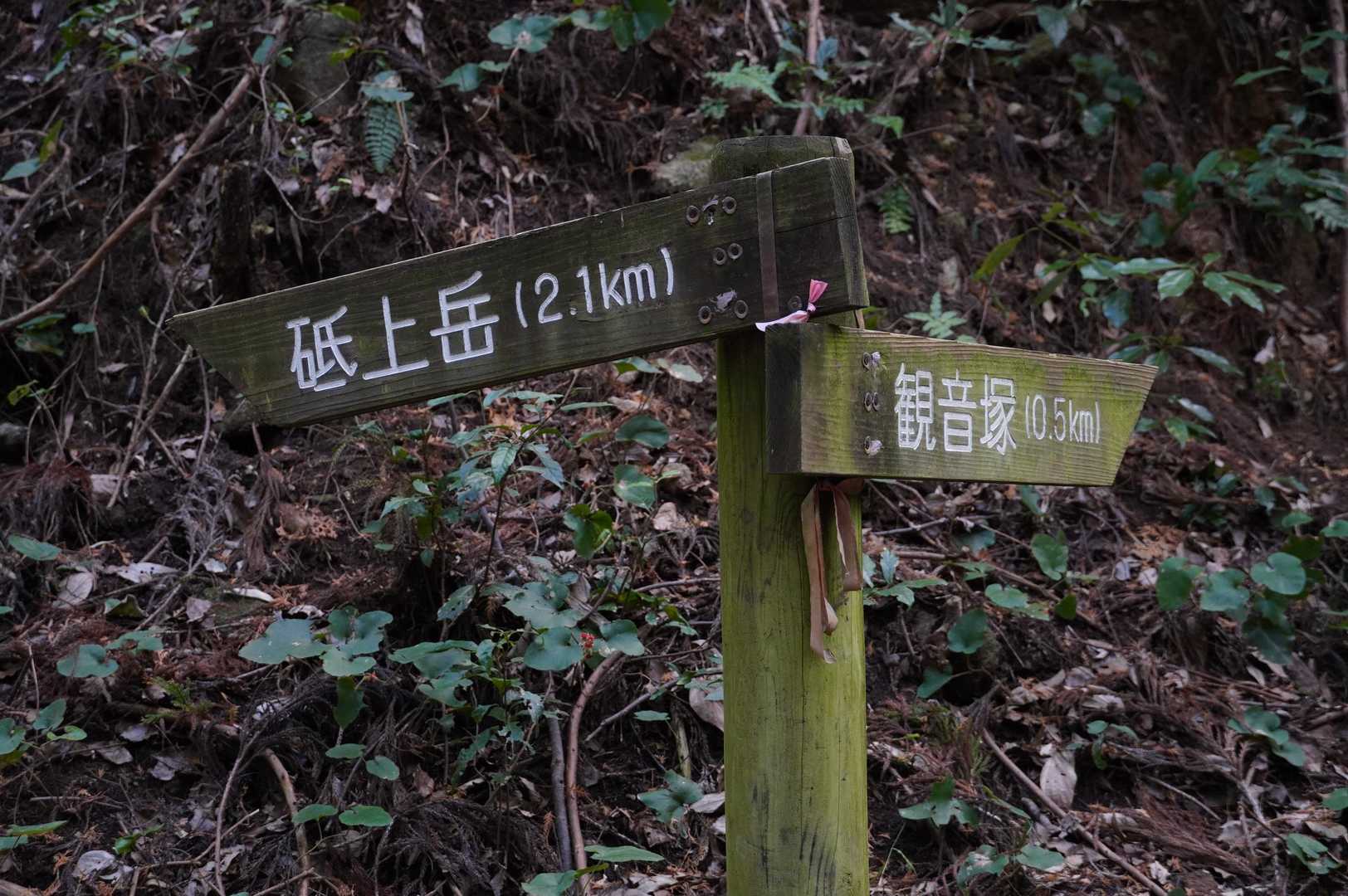 左の正面道から登って、右のルートから下山します。