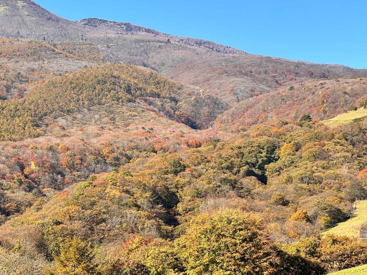 霜降の滝バス停-大山 往復コースの写真