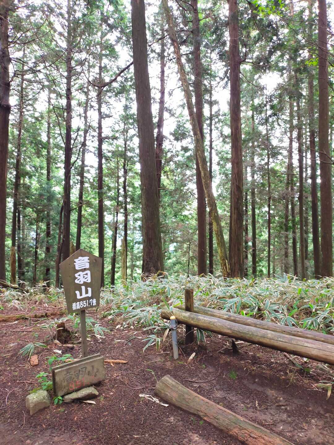 音羽山の写真