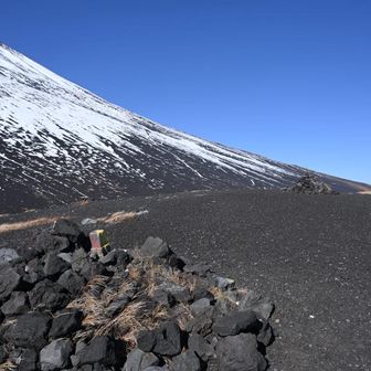 山頂でお昼にしたかったけど
風が強くて寒すぎって事で下山
