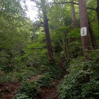 八合目。一応、水場があるようです。