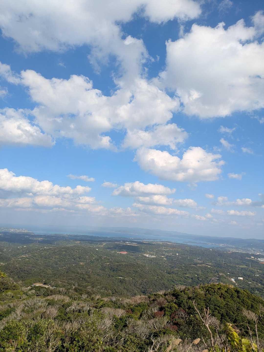 景色良し　山頂標識なし古巣岳