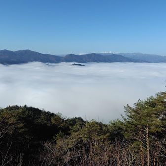 山頂に着くと見事な雲海！