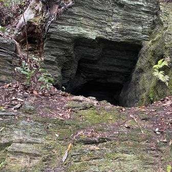 この中には…👀❗️