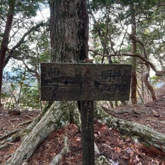 平山明神は右手