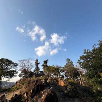 城山（ご飯山）頂上