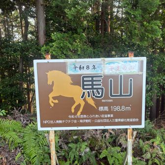 馬山に到着