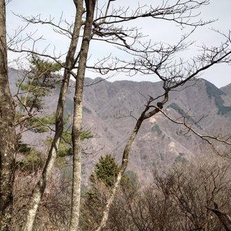 駒止茶屋のベンチから。三ノ塔からの稜線