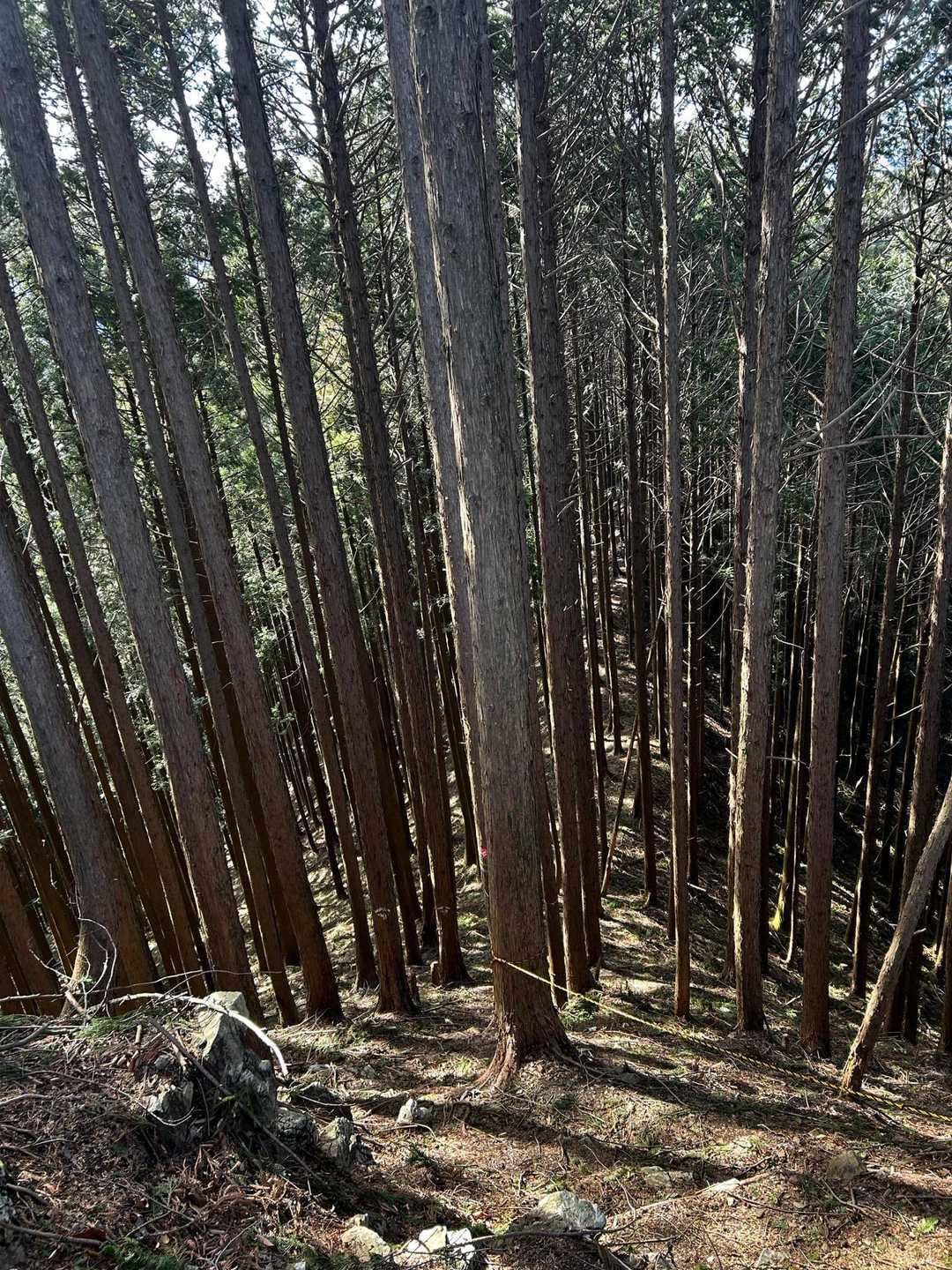 えぐい角度