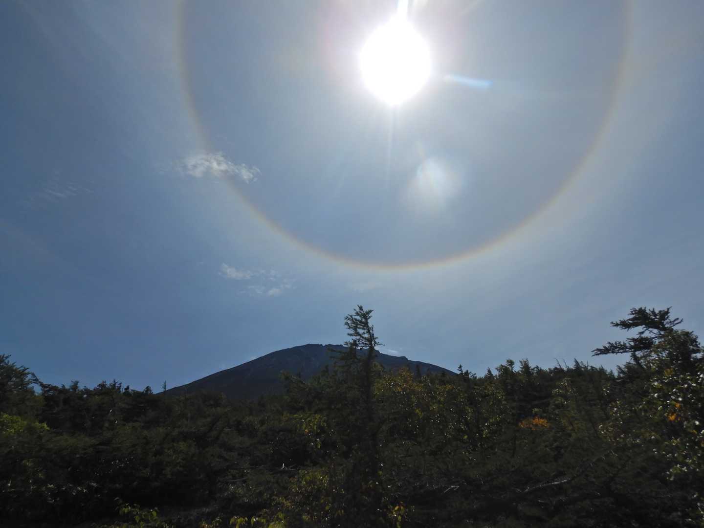 ふと空を見上げると・・・
