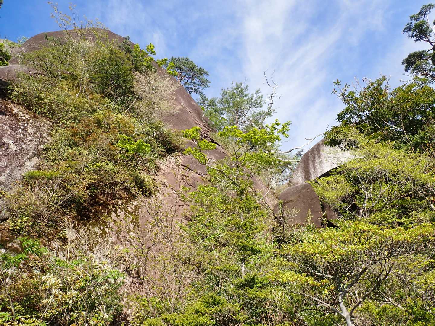 これから登っていく岩場を見上げる。