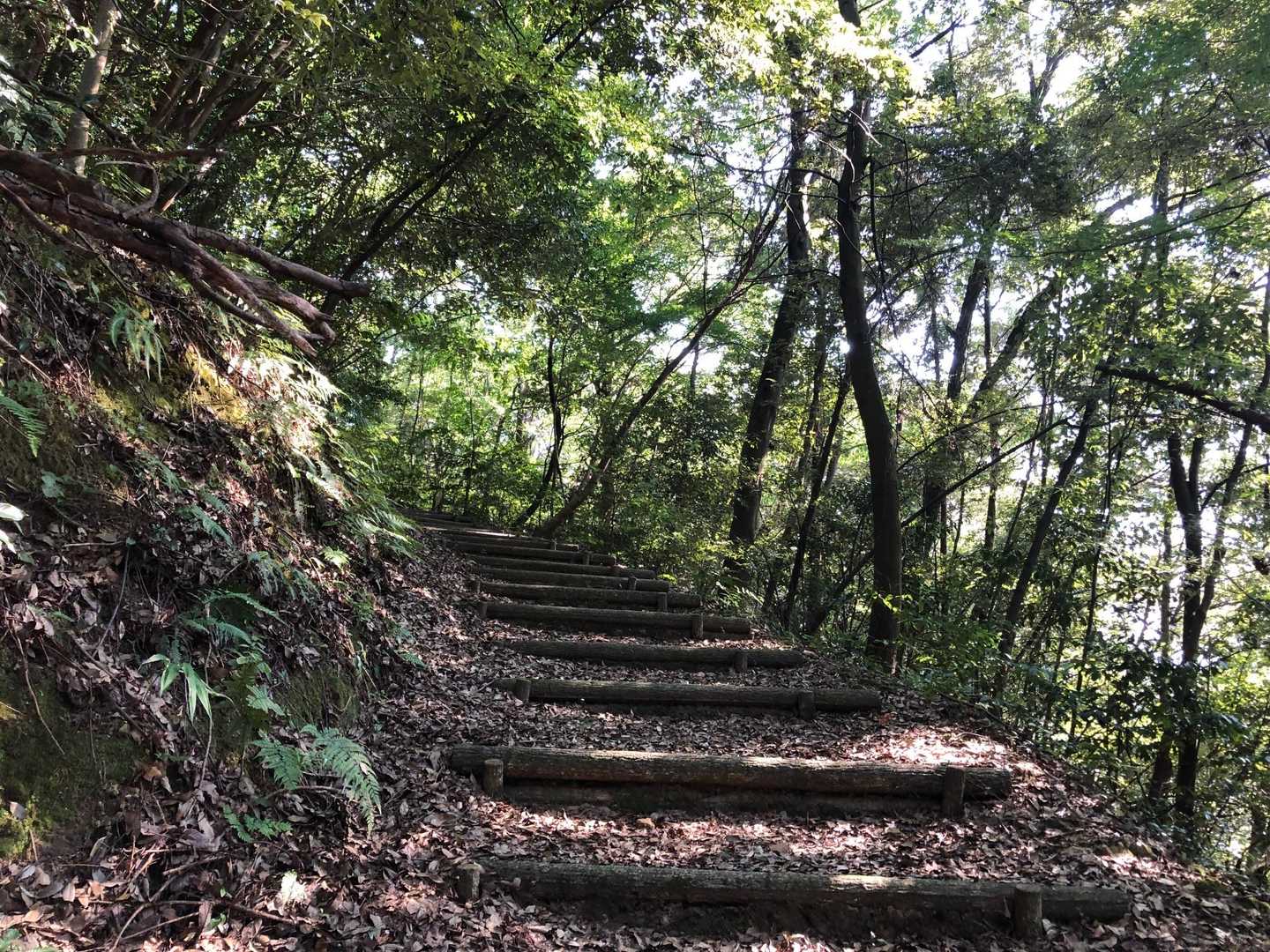 帰りに、本巣に来たら寄ってみたかった山に寄り道
