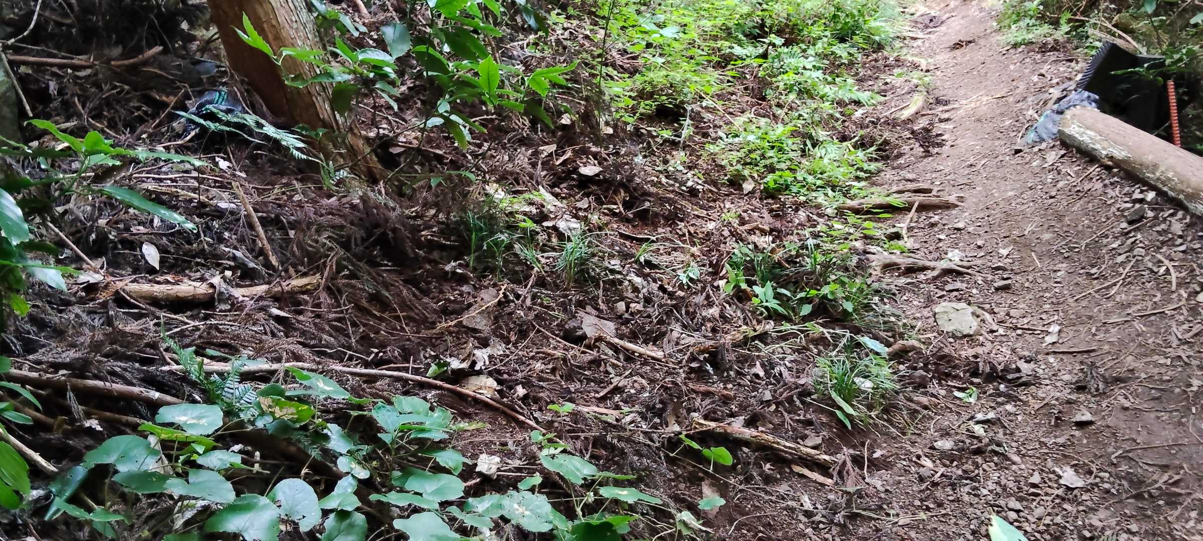 下山途中の写メですが斜面が崩れてます💦
いつの雨でこうなったのか🤔
