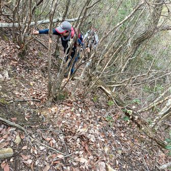 
巻き道もたいがいなものですが💦