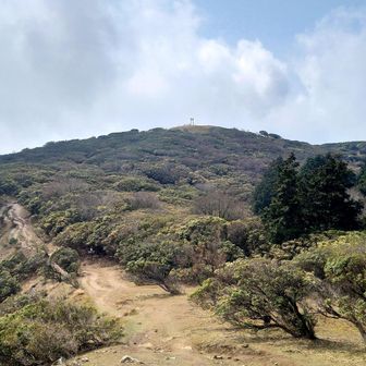 遠くから眺める鳥居も良いな✨