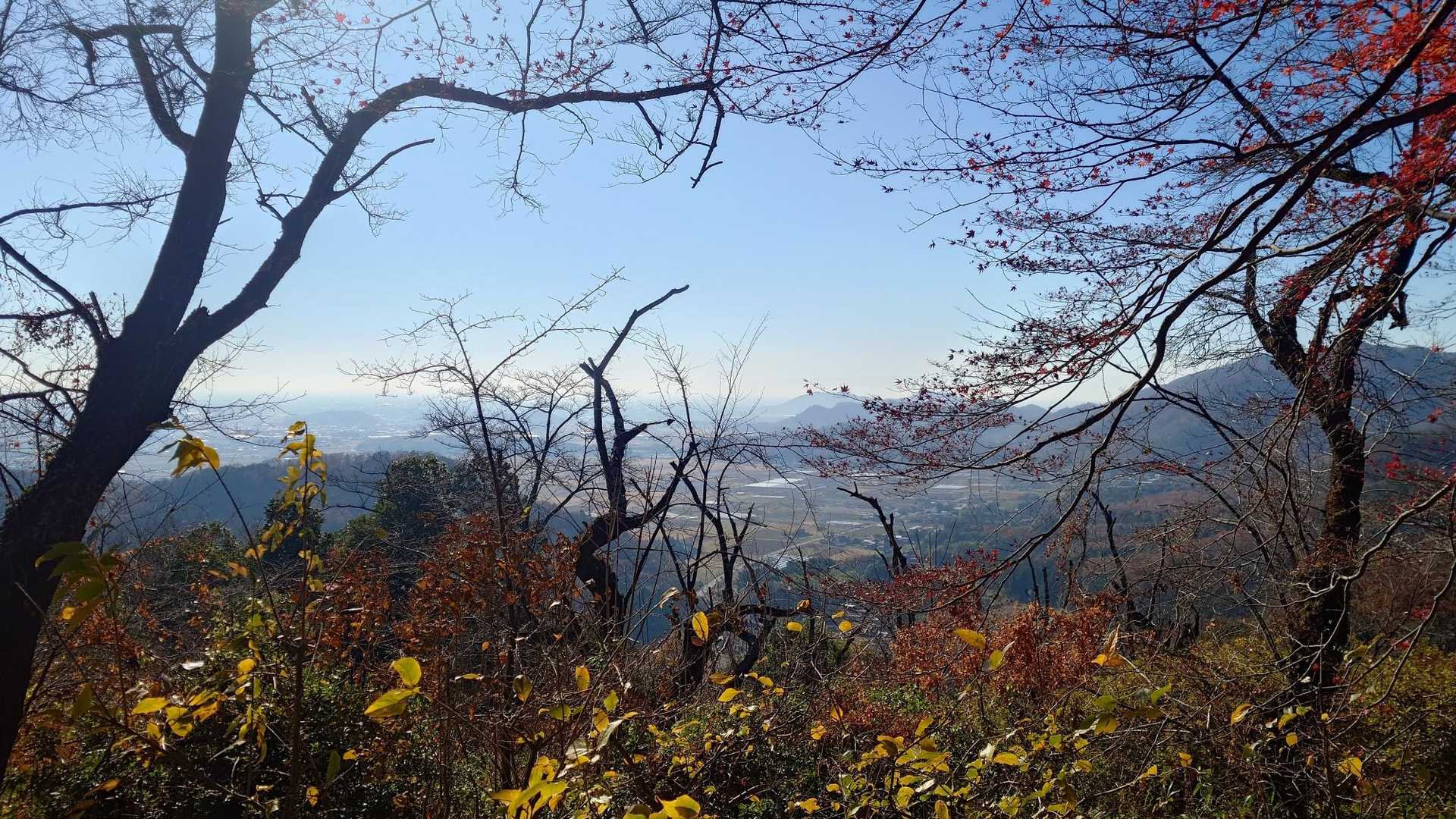 こっちの風景と