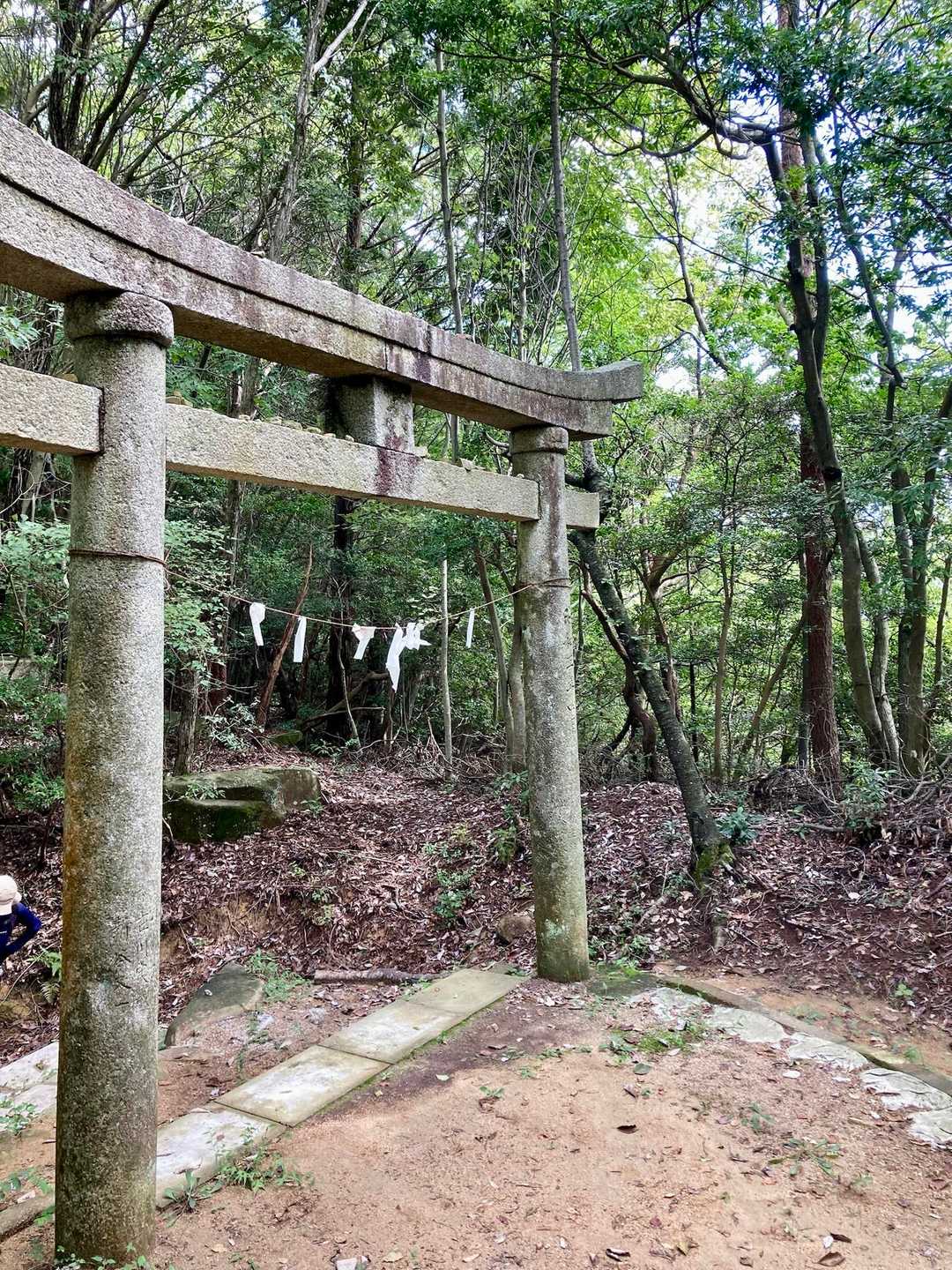反対側に、山頂へ行く車道があるかも？
セコップ出来るよねーと。